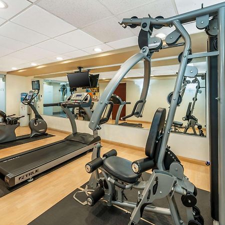 Comfort Inn & Suites East Hartford - Hartford Екстериор снимка