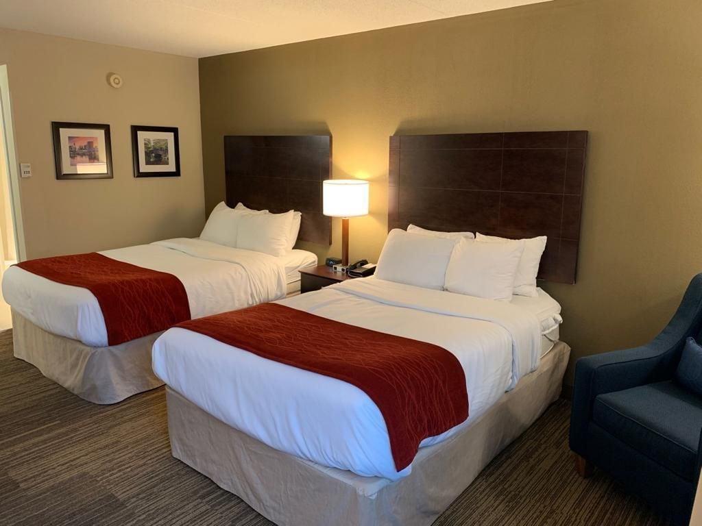Comfort Inn & Suites East Hartford - Hartford Екстериор снимка